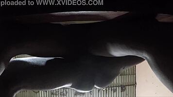 Pussy flooded with thick milk creampie homemade