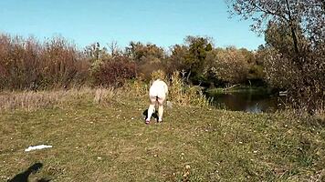 Autumn's Cute Milf Strips for Naked Public Badminton and Doggy Pound