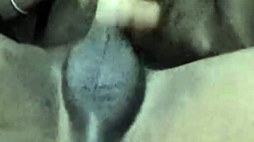 mzansi 18+ strokes hard watching tv and porn frenzy!