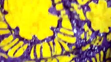 ngintip istri tetangga kost skinny asian tits ass bent over doggystyle bedroom neighbor homemade girl next door 😈🔥