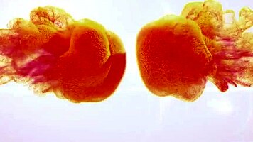 wetandpissy sexy ballerina solo extreme toys piss softcore