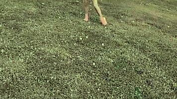 Teen Slut Deepthroats Coach For Post-Practice Cumshot