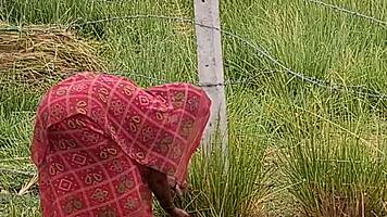 new indian honeymoon couple enjoys outdoor creampie fuck with audio