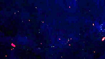 Sofia Smith screams in ecstasy from double anal huge BBC DAP