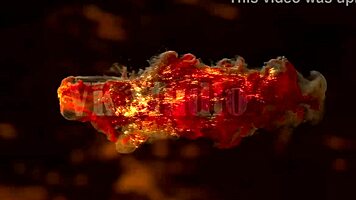 cute nikole murkovski gapes ass on monster cock nonstop anal