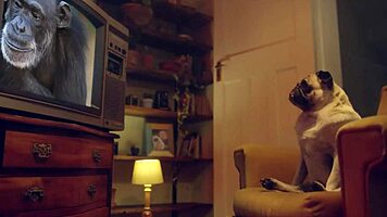 Shona River shares steamy stories before intimate solo play