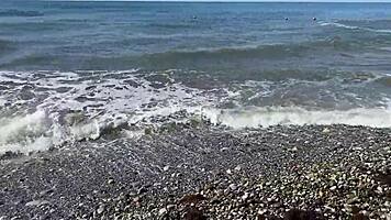 four foresters thrust cocks deep into lonely widow's pussy and ass