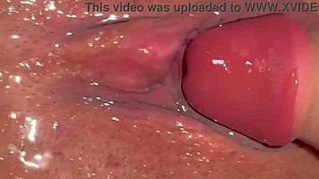 i'm loving these virgin tight pussies stretched by halloween dildos