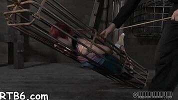 i crave the thrill of four petite sluts crammed in my tight bdsm cage