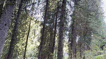 Traveling Car POV Captures Wild Public Pissing in Nature Compilation