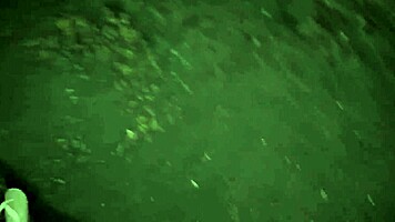 deixei o namorado na praia pra dar buceta pro cara certo