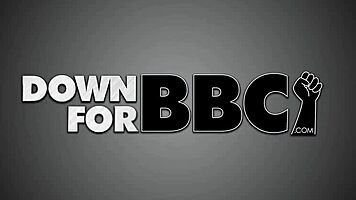 Amy brooke rims black stud's ass down for bbc