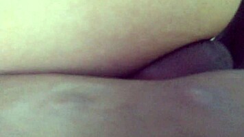 colombian housewife cheats with bbc bull creampie pounding her wet pussy raw