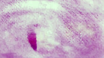 petite natural babe poses before blonde reveals curves