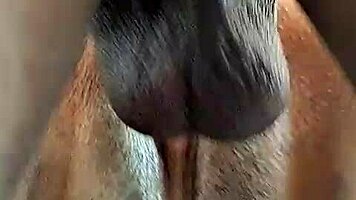 Chubby Latina Stepmom Licked and Fucked Hard on All Fours