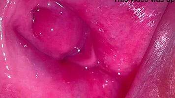 amateur shaved pussy close-up 269 days post virginity 😍