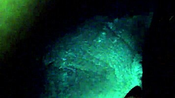 ebony babe spits sloppy on cock for facial finish