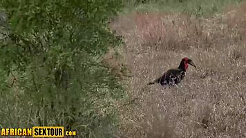 i'm fucking this horny ebony teen's perfect big ass with monster cock wild