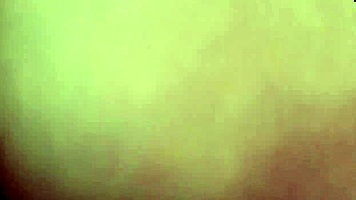 Tiny Latina 18+ Stuffed with BBC Creampies All Christmas!