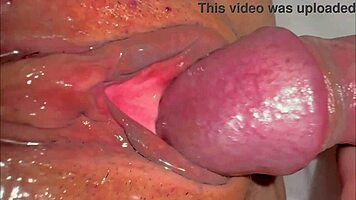 amateur asian milf's shaved pussy licked 227 days post virginity