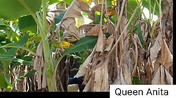 Queen Anita gets Christmas farm fuck from black monster cock