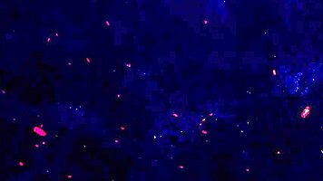 Breiny zoe milks four huge black cocks dap anal gaping cum