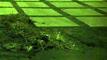 Chatty milf and young babe tackle massive cock in wild hardcore session