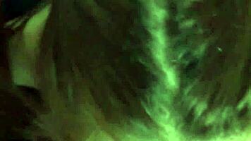 petite pigtail euro girl with small tits licks balls and rims ass on couch pov