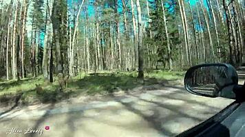 passionate forest car fuck with natural tits bouncing wildly