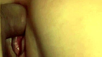 Kara Novak begs for all holes filled in hardcore hd doggystyle bent over cumshot?