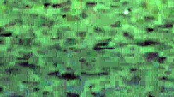 wicked beauty strips naked sucking cock in wet pussy contest