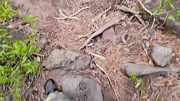 damn, backshots pounding by the river outdoors! 🔥🌊