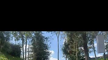 aubry babcock delivers complete girlfriend experience sloppy sofa blowjob deepthroat cowgirl riding