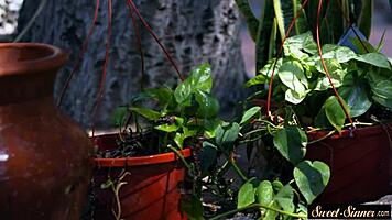 busty tattooed babe rides cock in erotic taboo fantasy storyline