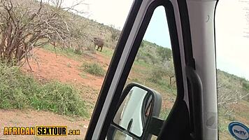 african ebony teen big ass takes rough pounding on safari