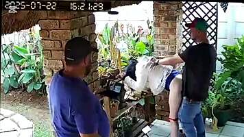 your cuckold buddy begs me to doggystyle fuck his petite slut wife while he jerks furiously