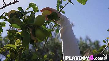 petite milf model strips hot lingerie to reveal amazing naked curves