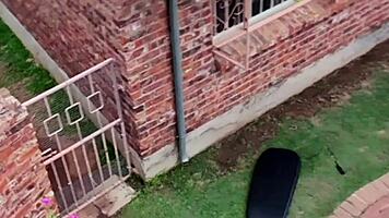 drone catches neighbors' wet orgy with pussy licking in swimming pool