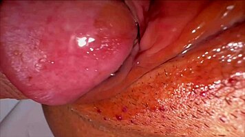 amateur pink pussy tempts 338 days post virginity