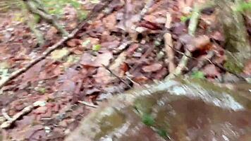 Petite Asian babe squirts wildly on massive rock