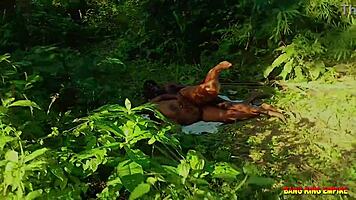 Outdoor orgy with wet hairy ebony milf and college babe in the bush