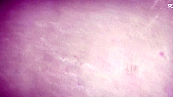 Housewife shows her hairy pussy in close detail