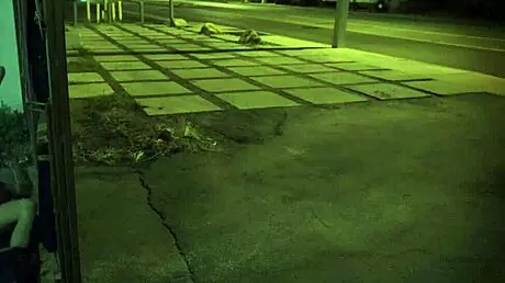 Exploring BDSM Bondage and Domination in a First-Time Gangbang Scenario