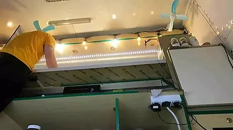 Sexy Virgin's Panties Covered Pussy Too Much, So I Fixed It