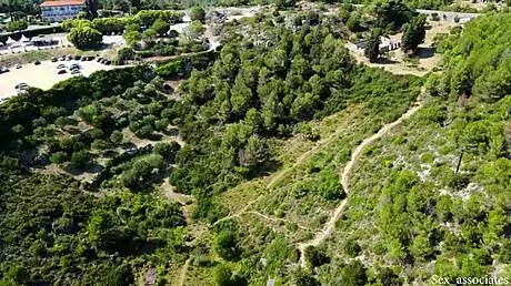 Drone genç 18+ çifti dışarıda SİKERKEN yakalıyor!