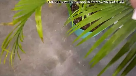 Step brother drills teen 18+ sister’s tight ass in bed