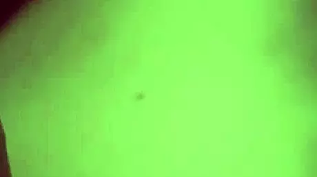 POV - BBW Lightskin Dominican Sucks Off Her Neighbor in Hot Scene