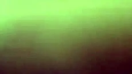 British teen sucks big cock for cumshot