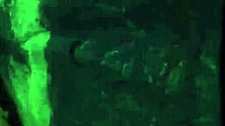 the slut is bound in hardcore bondage for a rough outdoor gangbang